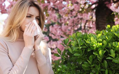 Treat Seasonal Allergies With Acupuncture