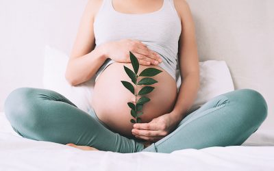 Acupuncture & Fertility