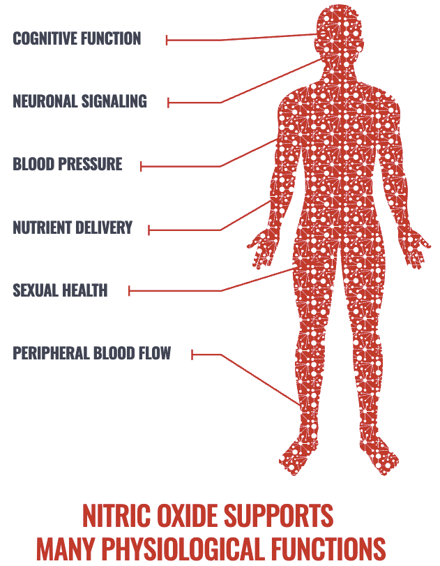 Nitric Oxide (NO) Supplements With Dr. Jodi